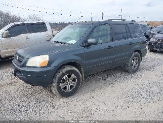 2004 Honda Pilot, VIN 5FNYF18634B005667. Фото 2 з 6 з аукціону IAAI. Каталог авто зі США OpenDataCar.