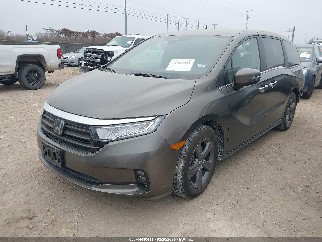 2021 Honda Odyssey, VIN 5FNRL6H50MB007927. Фото 2 з 6 з аукціону IAAI. Каталог авто зі США OpenDataCar.