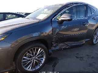 2023 Lexus NX 350, VIN 2T2GGCEZ1PC016173. Фото 6 з 6 з аукціону IAAI. Каталог авто зі США OpenDataCar.