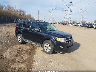 2010 Ford Escape, VIN 1FMCU0DG7AKB10411. Фото 1 з 6 з аукціону IAAI. Каталог авто зі США OpenDataCar.
