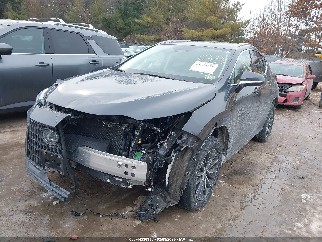 2023 Lexus NX 350, VIN 2T2GGCEZ6PC027086. Фото 2 з 6 з аукціону IAAI. Каталог авто зі США OpenDataCar.
