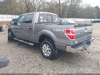 2014 Ford F-150, VIN 1FTFW1EF4EKG28974. Фото 3 з 6 з аукціону IAAI. Каталог авто зі США OpenDataCar.