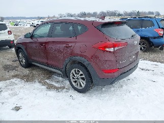 2017 Hyundai Tucson, VIN KM8J33A49HU428888. Фото 3 з 6 з аукціону IAAI. Каталог авто зі США OpenDataCar.