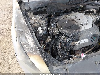 2010 Honda Accord, VIN 1HGCP3F88AA015902. Фото 6 з 6 з аукціону IAAI. Каталог авто зі США OpenDataCar.