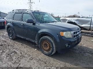 2009 Ford Escape, VIN 1FMCU03G39KA48468. Фото 1 з 6 з аукціону IAAI. Каталог авто зі США OpenDataCar.