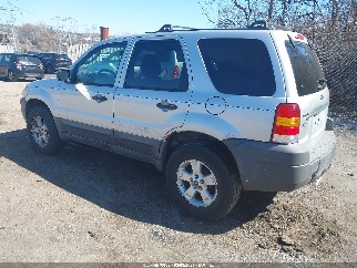 2007 Ford Escape, VIN 1FMYU03Z27KA62432. Фото 3 з 6 з аукціону IAAI. Каталог авто зі США OpenDataCar.