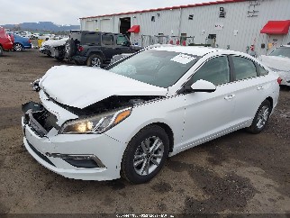 2015 Hyundai Sonata, VIN 5NPE24AF3FH137410. Фото 2 з 6 з аукціону IAAI. Каталог авто зі США OpenDataCar.