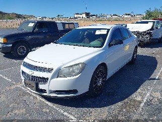2011 Chevrolet Malibu, VIN 1G1ZA5E13BF354364. Фото 2 з 6 з аукціону IAAI. Каталог авто зі США OpenDataCar.