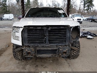 2015 Ford F-150, VIN 1FTEW1EG8FFB49827. Фото 6 з 6 з аукціону IAAI. Каталог авто зі США OpenDataCar.