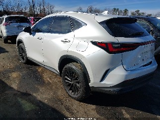 2025 Lexus NX 350, VIN JTJGGCEZ5S2019330. Фото 3 з 6 з аукціону IAAI. Каталог авто зі США OpenDataCar.