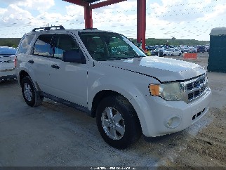 2011 Ford Escape, VIN 1FMCU0D76BKA91156. Фото 1 з 6 з аукціону IAAI. Каталог авто зі США OpenDataCar.