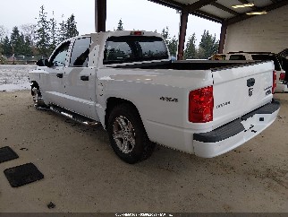 2011 Ram Dakota, VIN 1D7RW3GK6BS512065. Фото 3 из 6 с аукциона IAAI. Каталог авто из США OpenDataCar.