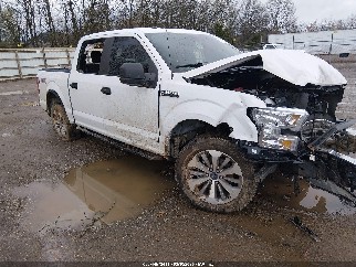2017 Ford F-150, VIN 1FTEW1CP1HFB72842. Фото 1 з 6 з аукціону IAAI. Каталог авто зі США OpenDataCar.