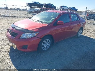 2010 Toyota Corolla, VIN 2T1BU4EEXAC381498. Фото 2 з 6 з аукціону IAAI. Каталог авто зі США OpenDataCar.