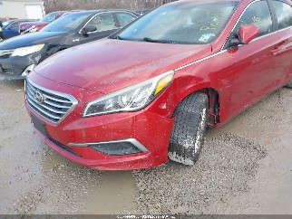 2017 Hyundai Sonata, VIN 5NPE24AF9HH504751. Фото 6 из 6 с аукциона IAAI. Каталог авто из США OpenDataCar.