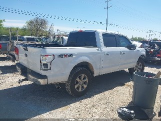 2019 Ford F-150, VIN 1FTEW1E55KKC53434. Фото 4 з 6 з аукціону IAAI. Каталог авто зі США OpenDataCar.