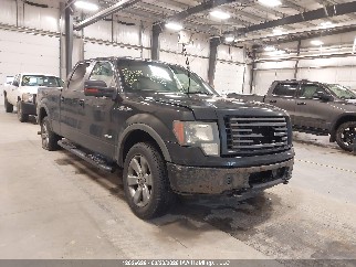 2012 Ford F-150 Lightning, VIN 1FTFW1ET8CFC13748. Фото 1 з 6 з аукціону IAAI. Каталог авто зі США OpenDataCar.