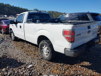 2013 Ford F-150, VIN 1FTMF1CMXDKE85648. Фото 3 из 6 с аукциона IAAI. Каталог авто из США OpenDataCar.