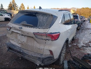 2020 Ford Escape, VIN 1FMCU9J90LUB15645. Фото 4 з 6 з аукціону IAAI. Каталог авто зі США OpenDataCar.