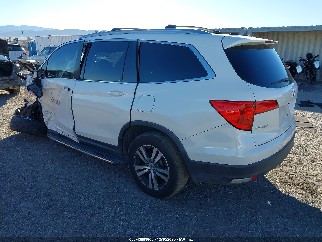 2018 Honda Pilot, VIN 5FNYF6H88JB063168. Фото 3 з 6 з аукціону IAAI. Каталог авто зі США OpenDataCar.