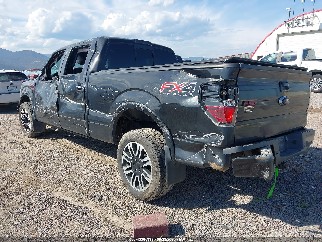 2014 Ford F-150, VIN 1FTFW1EF5EFA78810. Фото 3 з 6 з аукціону IAAI. Каталог авто зі США OpenDataCar.