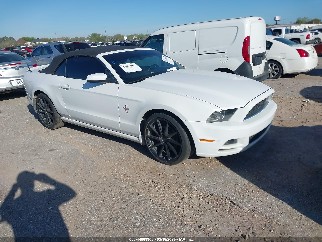 2014 Ford Mustang, VIN 1ZVBP8EM8E5303629. Фото 1 з 6 з аукціону IAAI. Каталог авто зі США OpenDataCar.