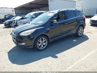 2014 Ford Escape, VIN 1FMCU0J98EUB08120. Zdjęcie 2 z 6 z aukcji IAAI. Katalog aut z USA OpenDataCar.