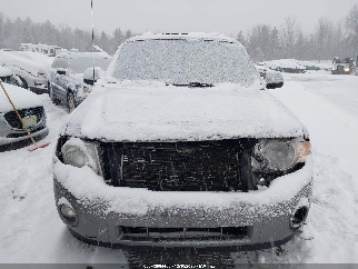 2009 Ford Escape, VIN 1FMCU93G19KB10048. Фото 6 з 6 з аукціону IAAI. Каталог авто зі США OpenDataCar.