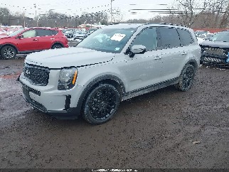 2022 Kia Telluride, VIN 5XYP5DHC2NG221025. Zdjęcie 2 z 6 z aukcji IAAI. Katalog aut z USA OpenDataCar.