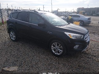 2017 Ford Escape, VIN 1FMCU0GD7HUC54170. Фото 1 з 6 з аукціону IAAI. Каталог авто зі США OpenDataCar.