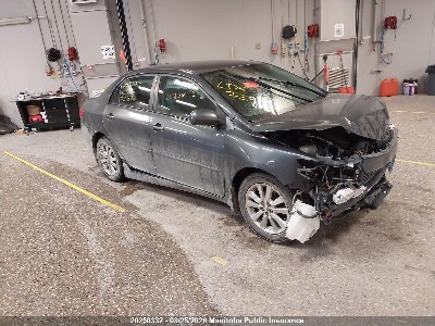 2009 Toyota Corolla, VIN 2T1BU40E69C081556. Zdjęcie 1 z 6 z aukcji IAAI. Katalog aut z USA OpenDataCar.