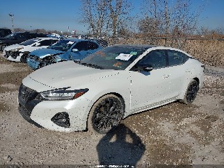 2023 Nissan Maxima, VIN 1N4AA6EV1PC503706. Фото 2 з 6 з аукціону IAAI. Каталог авто зі США OpenDataCar.