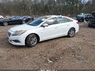 2016 Hyundai Sonata, VIN 5NPE24AF2GH358868. Фото 2 з 6 з аукціону IAAI. Каталог авто зі США OpenDataCar.