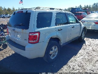 2011 Ford Escape, VIN 1FMCU9DG4BKB38172. Фото 4 з 6 з аукціону IAAI. Каталог авто зі США OpenDataCar.
