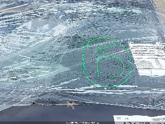 2019 Honda Civic, VIN 2HGFC2F61KH556827. Фото 6 з 6 з аукціону IAAI. Каталог авто зі США OpenDataCar.