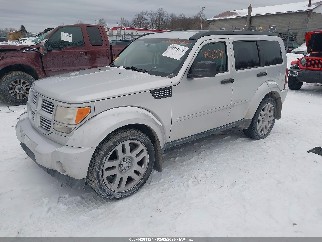 2011 Dodge Nitro, VIN 1D4PU4GX6BW591032. Фото 2 з 6 з аукціону IAAI. Каталог авто зі США OpenDataCar.