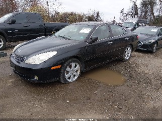 2005 Lexus ES 330, VIN JTHBA30G755064677. Фото 2 з 6 з аукціону IAAI. Каталог авто зі США OpenDataCar.
