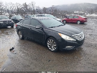 2011 Hyundai Sonata, VIN 5NPEC4AB1BH223576. Фото 1 з 6 з аукціону IAAI. Каталог авто зі США OpenDataCar.