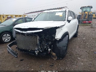 2020 Kia Telluride, VIN 5XYP5DHC0LG087810. Фото 2 з 6 з аукціону IAAI. Каталог авто зі США OpenDataCar.