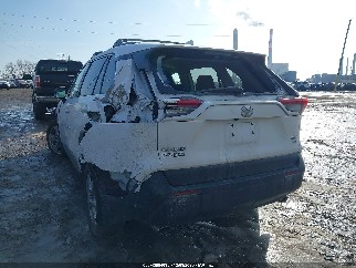2025 Toyota RAV4, VIN 2T3P1RFV0SW538182. Фото 3 из 6 с аукциона IAAI. Каталог авто из США OpenDataCar.