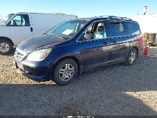 2005 Honda Odyssey, VIN 5FNRL38645B084678. Фото 2 з 6 з аукціону IAAI. Каталог авто зі США OpenDataCar.
