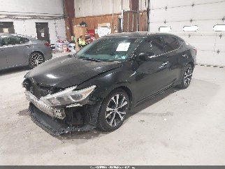 2016 Nissan Maxima, VIN 1N4AA6AP1GC415794. Фото 2 з 6 з аукціону IAAI. Каталог авто зі США OpenDataCar.