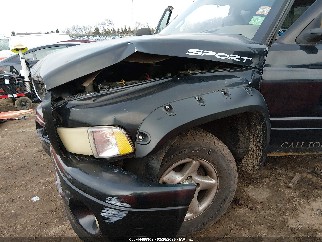 2000 Dodge Ram 1500, VIN 1B7HC13ZXYJ136894. Фото 6 з 6 з аукціону IAAI. Каталог авто зі США OpenDataCar.