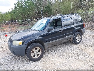 2007 Ford Escape, VIN 1FMYU03Z17KA62552. Фото 2 з 6 з аукціону IAAI. Каталог авто зі США OpenDataCar.