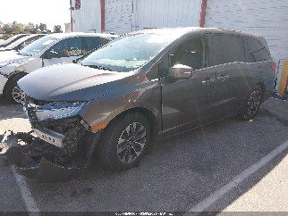 2022 Honda Odyssey, VIN 5FNRL6H78NB031489. Фото 2 з 6 з аукціону IAAI. Каталог авто зі США OpenDataCar.