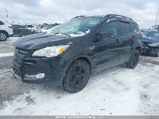 2015 Ford Escape, VIN 1FMCU9G98FUA54802. Фото 2 з 6 з аукціону IAAI. Каталог авто зі США OpenDataCar.