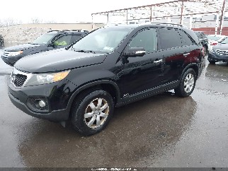 2012 Kia Sorento, VIN 5XYKTDA69CG260003. Фото 2 з 6 з аукціону IAAI. Каталог авто зі США OpenDataCar.