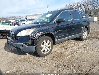 2008 Honda CR-V, VIN 5J6RE48588L005256. Photo 2 of 6 from IAAI auction. OpenDataCar US salvage catalog.