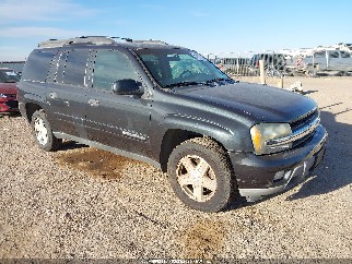 2003 Chevrolet Trailblazer, VIN 1GNES16S436212956. Фото 1 з 6 з аукціону IAAI. Каталог авто зі США OpenDataCar.