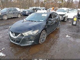 2016 Nissan Maxima, VIN 1N4AA6AP1GC430344. Фото 2 з 6 з аукціону IAAI. Каталог авто зі США OpenDataCar.